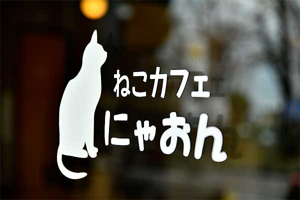 伊豆高原 ねこカフェにゃおん