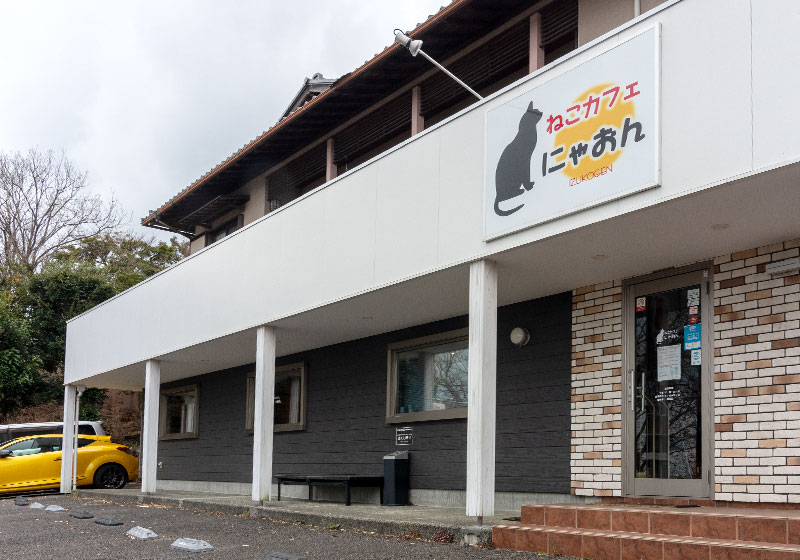 外観 伊豆高原 ねこカフェにゃおん