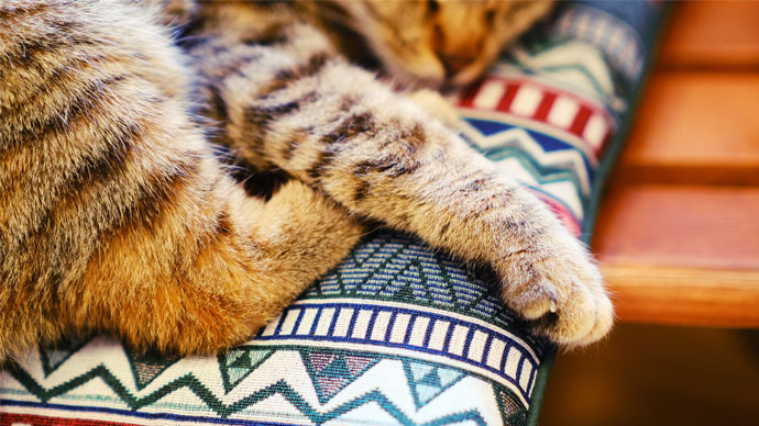 遊びに来てネ！